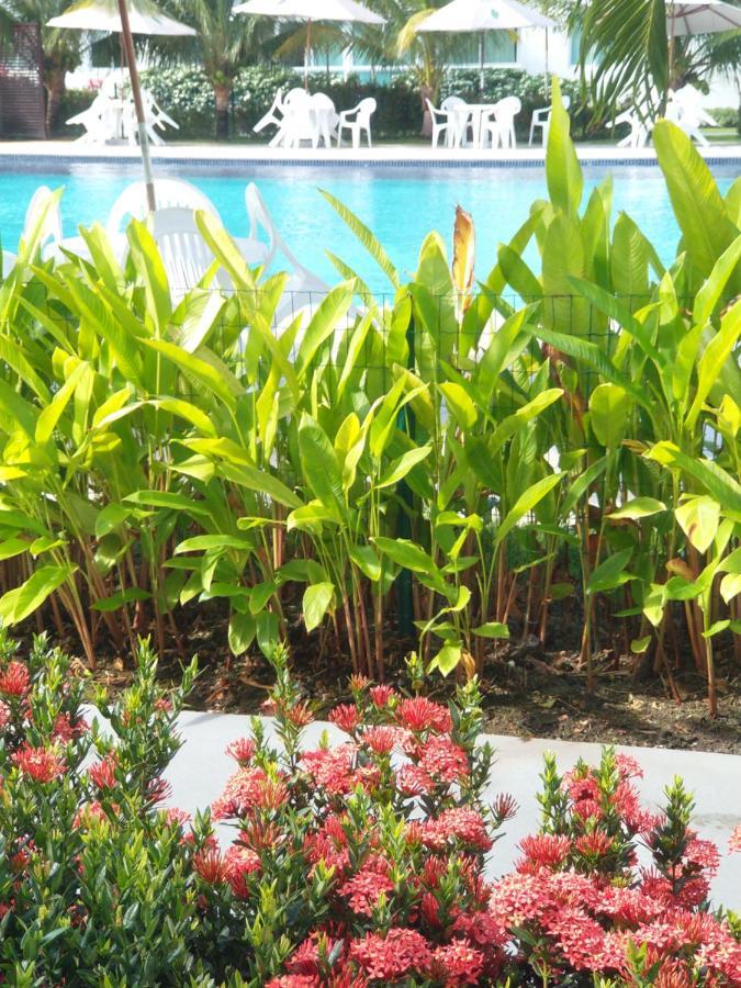 Palm Village Acqua - Apartamento Premium - Em Frente A Piscina - Pôrto das Galinhas Buitenkant foto